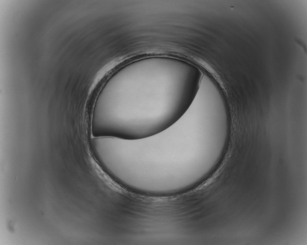 X0000100371122200806060755