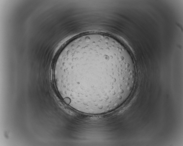 X0000100371125200806060755