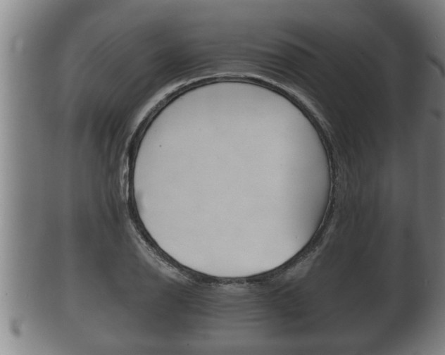 X0000100371126200806060755