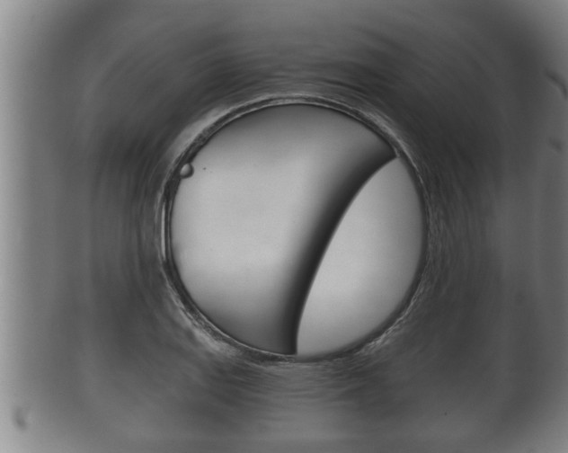 X0000100371127200806060755