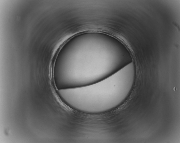 X0000100371128200806060755