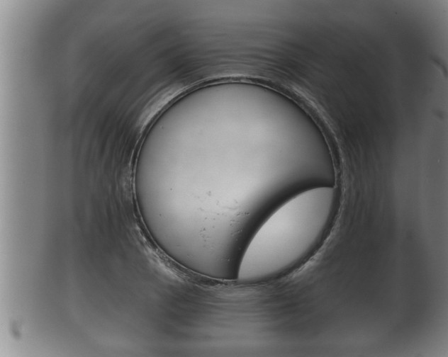 X0000100371129200806060755