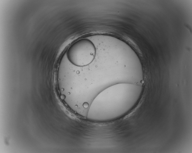 X0000100371130200806060755