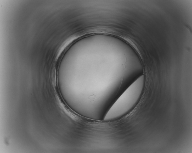 X0000100371131200806060756