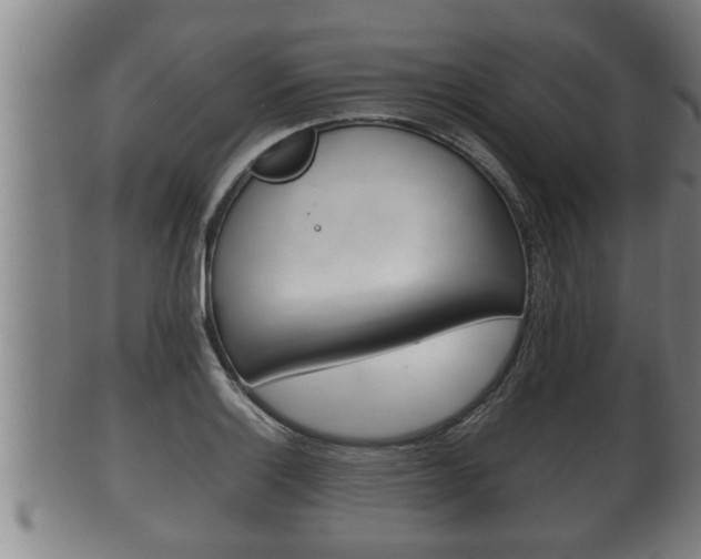 X0000100371132200806060756