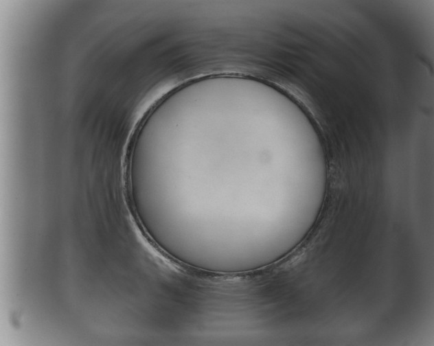 X0000100371135200806060756