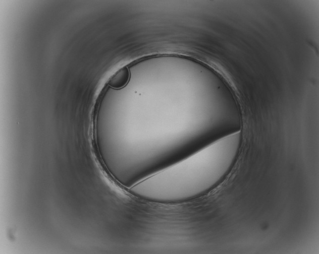 X0000100371136200806060756
