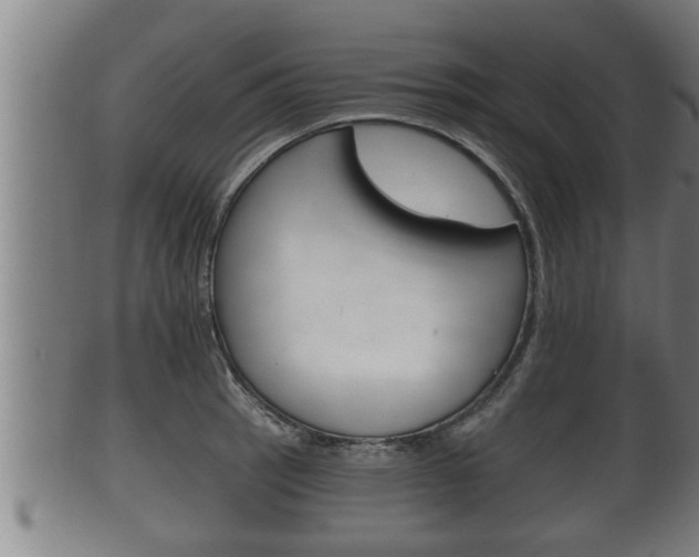 X0000100371137200806060756