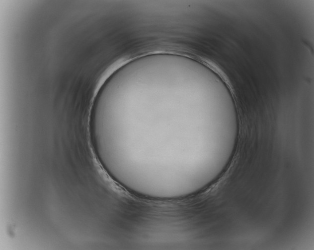 X0000100371138200806060756
