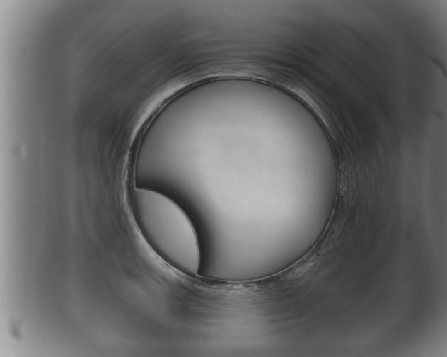 X0000100371139200806060756