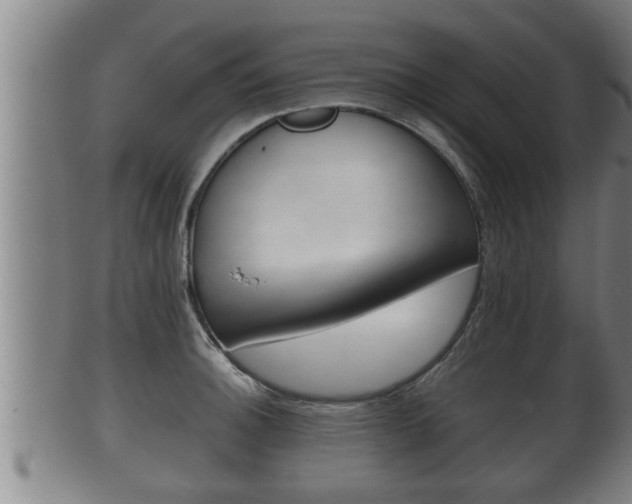 X0000100371140200806060756