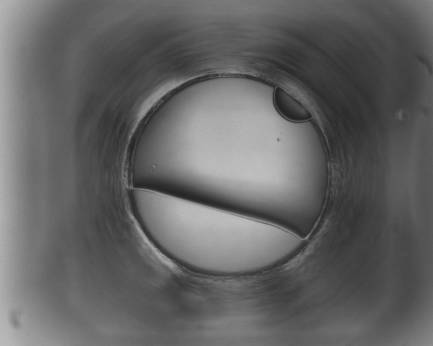 X0000100371141200806060756
