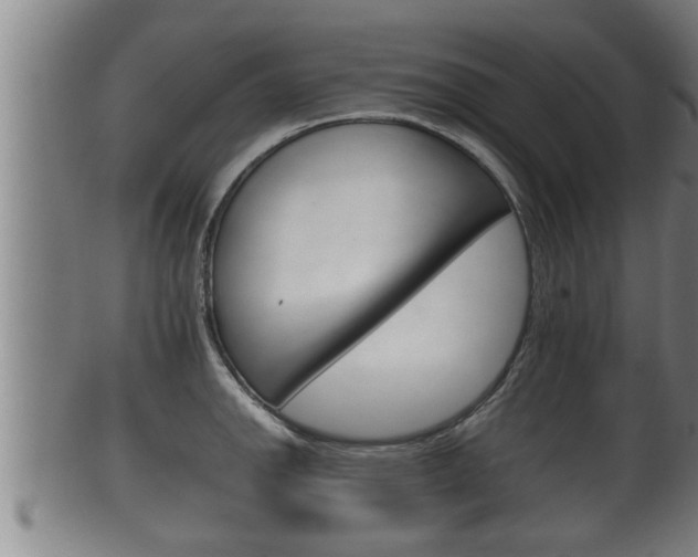 X0000100371142200806060756
