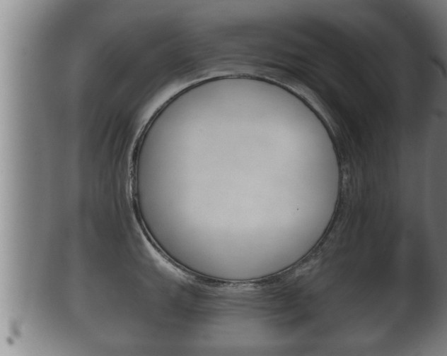 X0000100371143200806060756