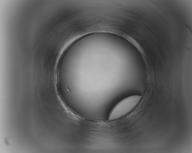 X0000100371144200806060756