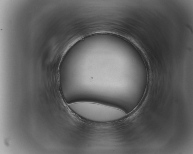 X0000100371145200806060756