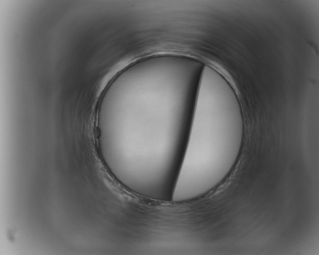 X0000100371146200806060756
