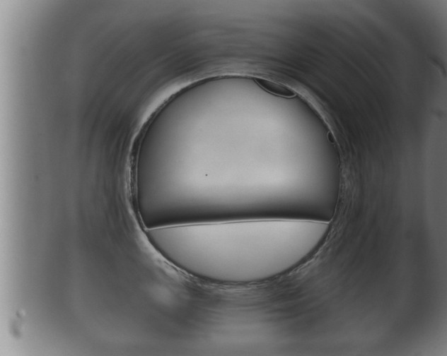 X0000100371147200806060756