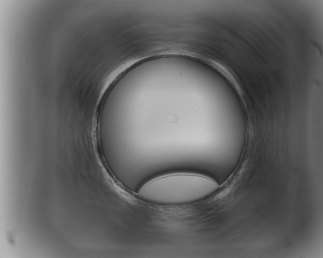 X0000100371149200806060756