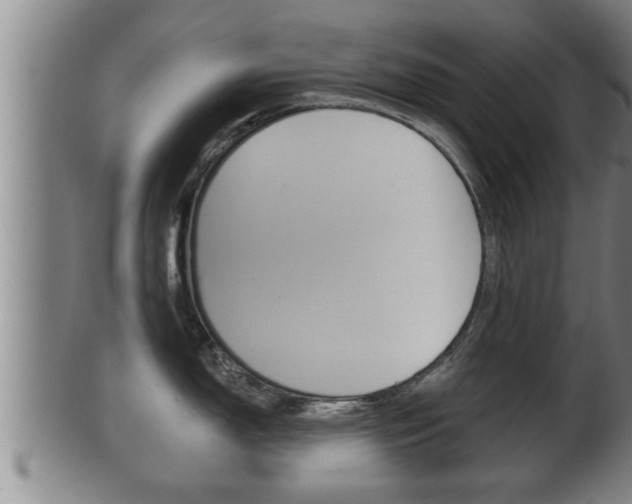 X0000100371150200806060756