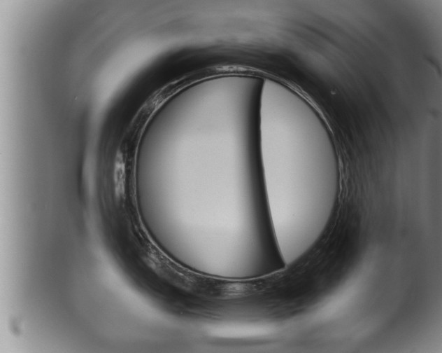 X0000100371151200806060756