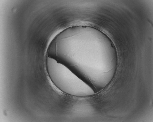 X0000100371152200806060756