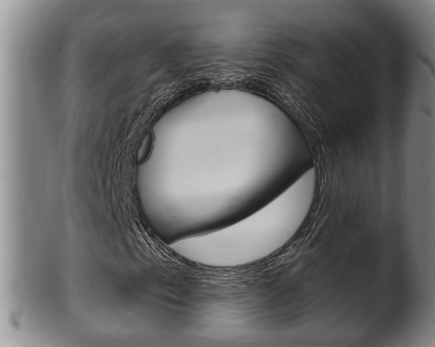 X0000100371153200806060755