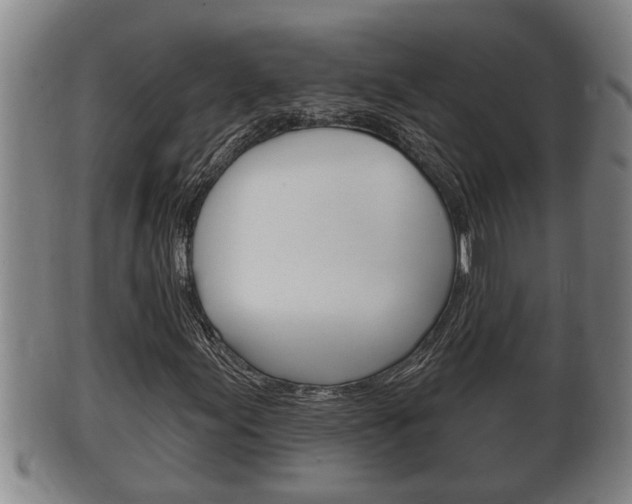 X0000100371155200806060755