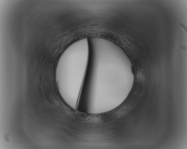 X0000100371156200806060755