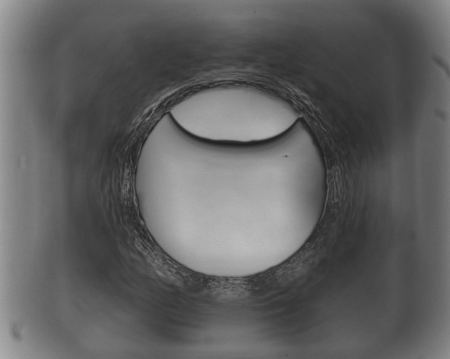 X0000100371158200806060755