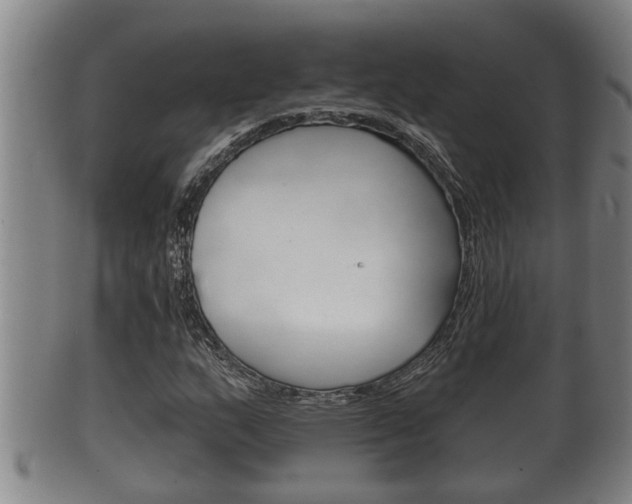X0000100371159200806060755