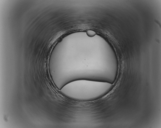 X0000100371162200806060755