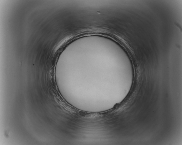 X0000100371163200806060755