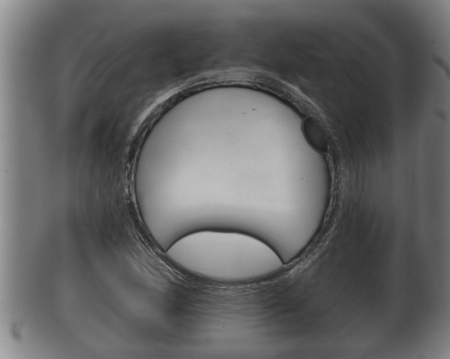 X0000100371166200806060755