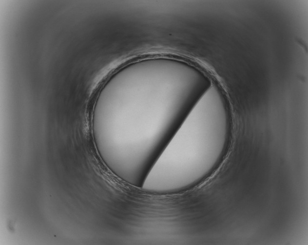X0000100371167200806060755