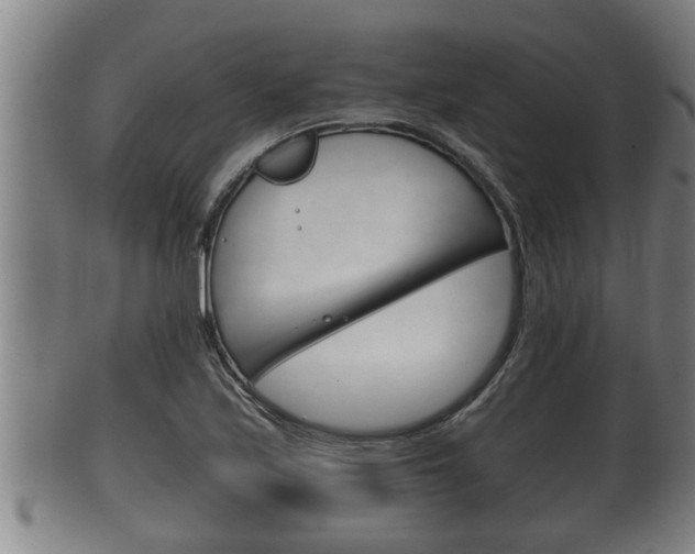 X0000100371171200806060755