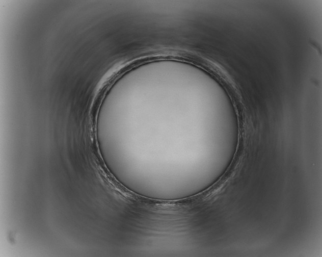 X0000100371172200806060755