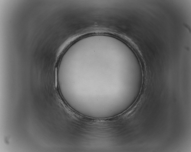 X0000100371175200806060755