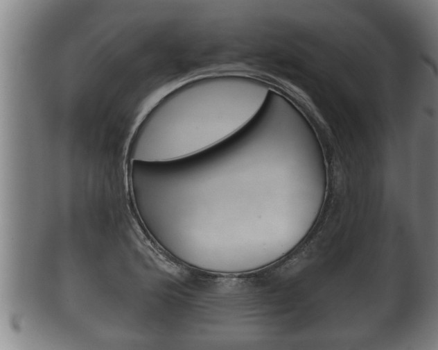 X0000100371176200806060755