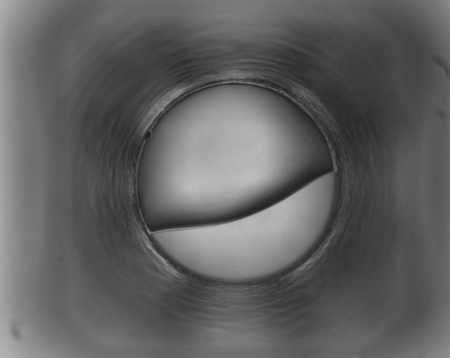 X0000100371177200806060755