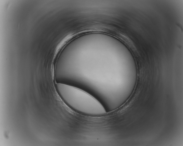 X0000100371180200806060755