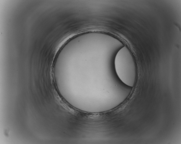X0000100371182200806060755