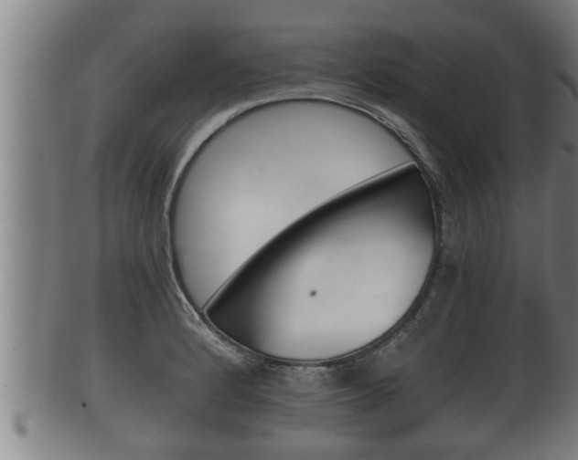 X0000100371184200806060755