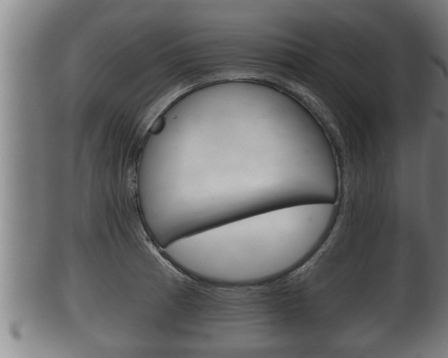 X0000100371185200806060755