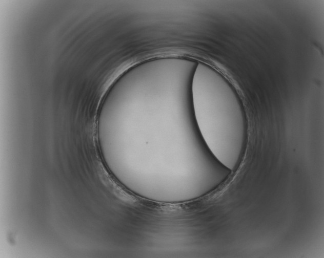 X0000100371186200806060754
