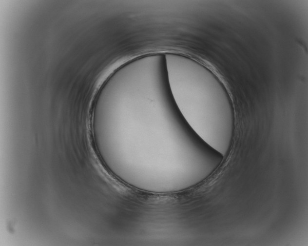 X0000100371187200806060754