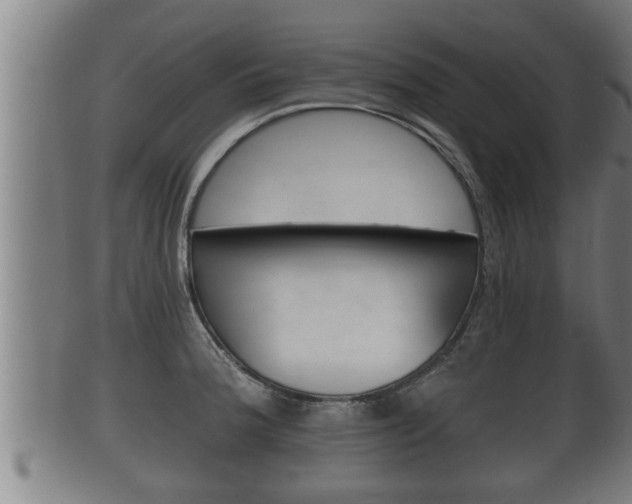 X0000100371188200806060754