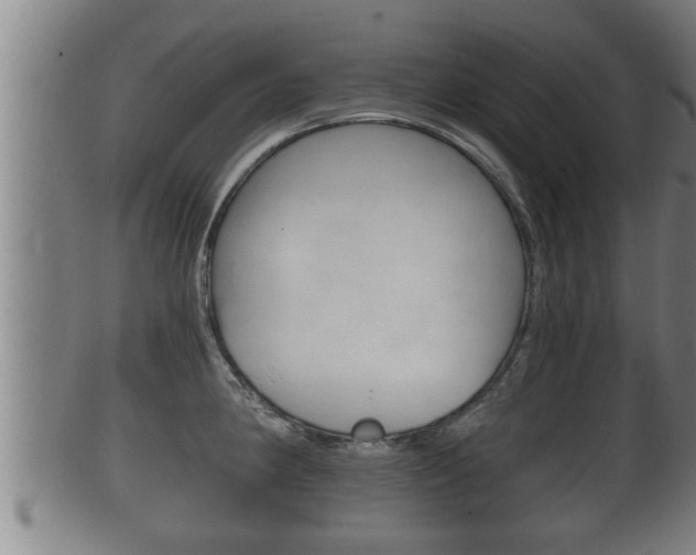 X0000100371190200806060754