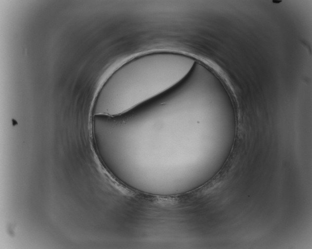 X0000100371191200806060754