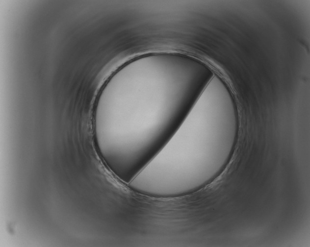 X0000100371192200806060754